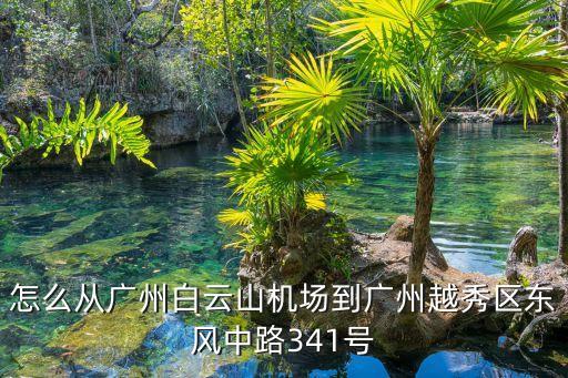 怎么從廣州白云山機場到廣州越秀區東風中路341號