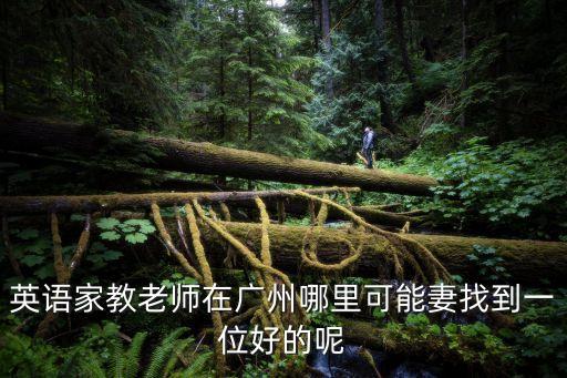 英語家教老師在廣州哪里可能妻找到一位好的呢