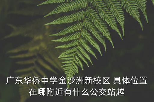 廣東華僑中學(xué)金沙洲新校區(qū) 具體位置在哪附近有什么公交站越