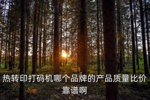 廣州多米諾熱轉印打碼機熱銷，請問哪里賣的熱轉印打碼機比較好啊價格也實惠些的給推薦下