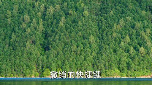 撤銷快捷鍵ctrl加什么，撤銷的快捷鍵