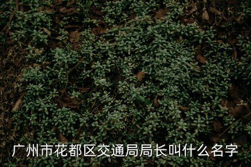 廣州市花都區交通局局長叫什么名字