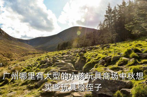 廣州哪里有大型的小孩玩具商場中秋想買些玩具給侄子