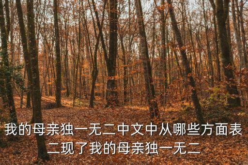 我的母親獨(dú)一無二中文中從哪些方面表二現(xiàn)了我的母親獨(dú)一無二