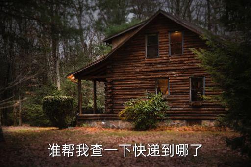 誰幫我查一下快遞到哪了