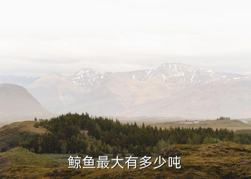 鯨魚多少噸，鯨魚最大有多少噸