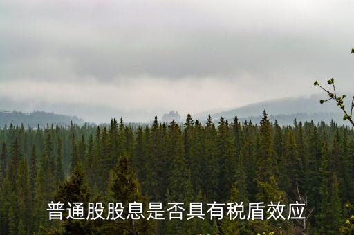 普通股股息是否具有稅盾效應(yīng)