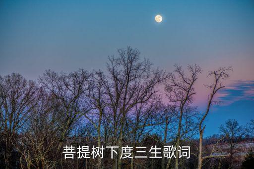 菩提樹下度三生歌詞