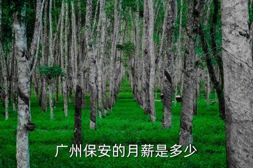 廣州安保工資水平，廣州保安的月薪是多少