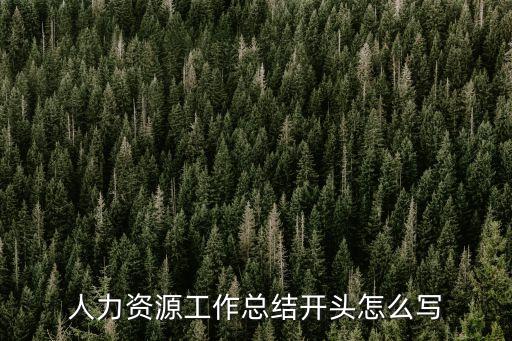 人才工作總結，人力資源工作總結怎么寫