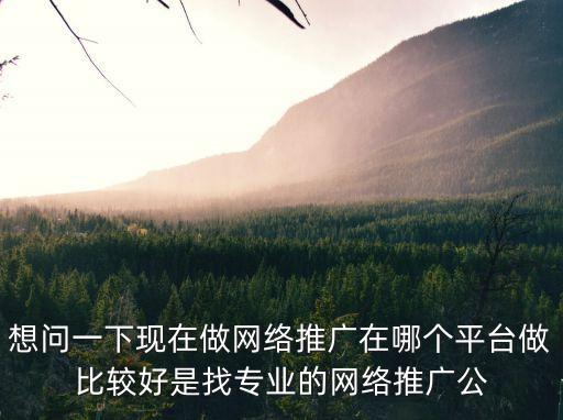 想問一下現在做網絡推廣在哪個平臺做比較好是找專業的網絡推廣公