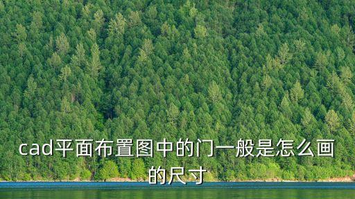 cad平面布置圖中的門一般是怎么畫的尺寸