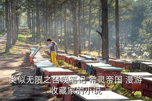 類似無限之召喚筆記 希靈帝國 漫游收藏家的小說