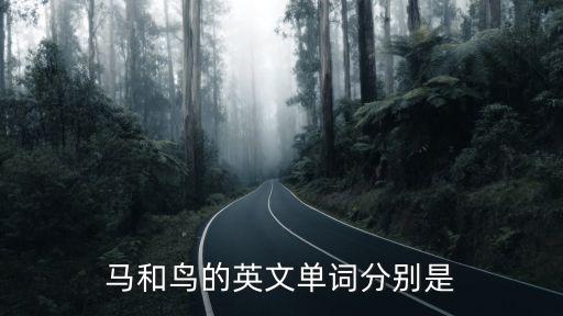 鳥的英文，鳥類用英文怎么說