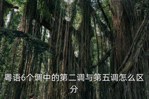 粵語九聲六調，粵語九聲六調到底怎么讀