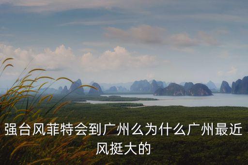 臺風鸚鵡會來廣州嗎，強臺風菲特會到廣州么為什么廣州最近風挺大的
