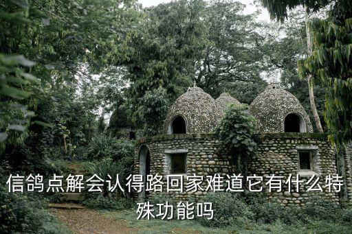 信鴿點解會認得路回家難道它有什么特殊功能嗎
