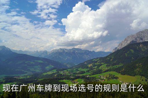 廣州五十選一多久拿牌，廣州網上選車牌號 過了一周能拿牌嗎