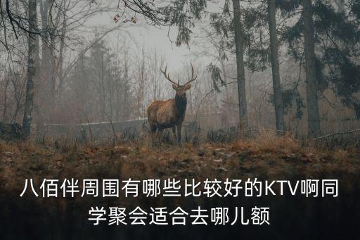 八佰伴周圍有哪些比較好的KTV啊同學聚會適合去哪兒額