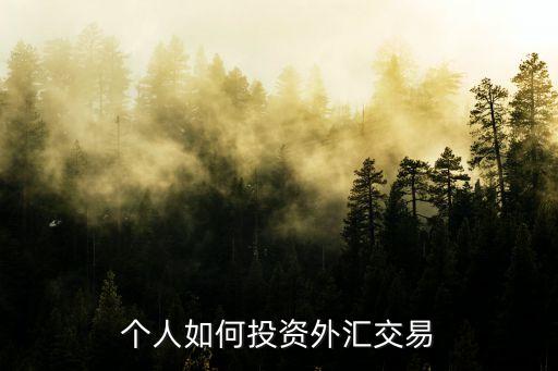 個人如何投資外匯交易