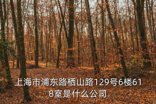 上海市浦東路棲山路129號6樓618室是什么公司