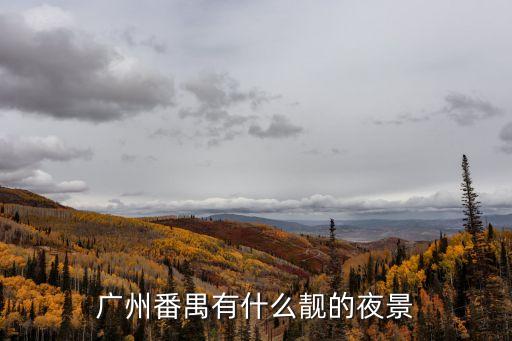 廣州番禺有什么靚的夜景