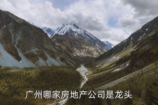 有家廣州房地產(chǎn)有限公司，廣州哪家房地產(chǎn)公司是龍頭