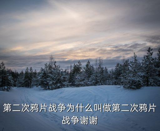 二次鴉片戰爭，第二次鴉片戰爭與鴉片戰爭有什么變化