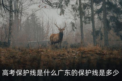 高考保護線是什么廣東的保護線是多少