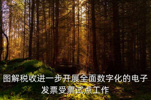 圖解稅收進(jìn)一步開展全面數(shù)字化的電子發(fā)票受票試點工作