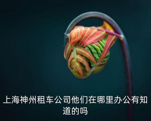 上海市神州租車服務(wù)，上海錦江附近有神州租車店嗎