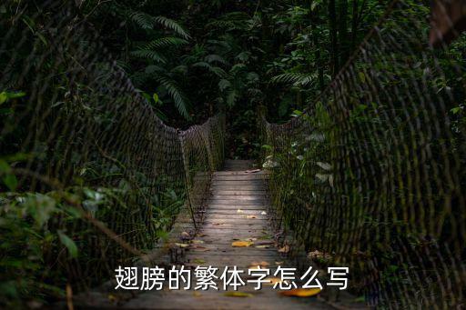 翅膀怎么寫，翅膀的繁體字怎么寫