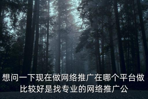網(wǎng)絡(luò)推廣搜 廣州拾星 網(wǎng)站，網(wǎng)絡(luò)推廣哪一家的服務(wù)最好跪求