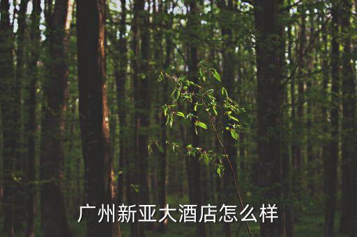 廣州市越秀區新亞酒店，廣州新亞大酒店怎么樣