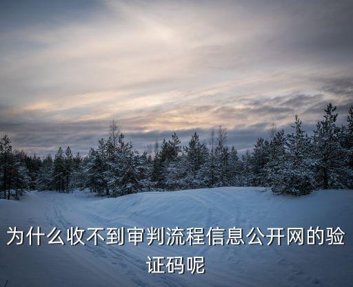 為什么收不到審判流程信息公開網的驗證碼呢