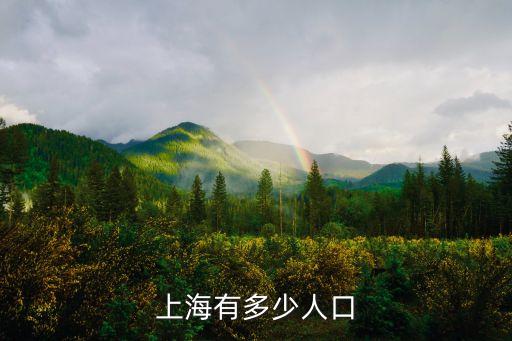 上海有多少人口