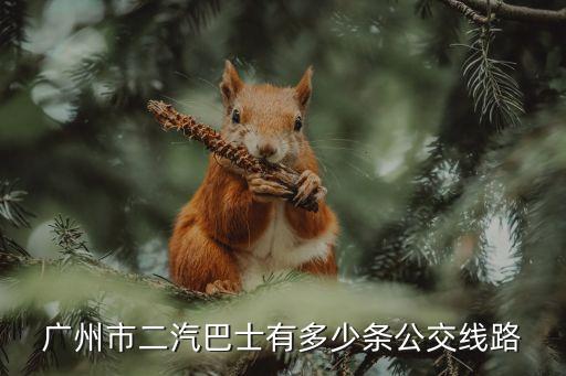 廣州二汽有多少條公交線路，廣州市二汽巴士有多少條公交線路