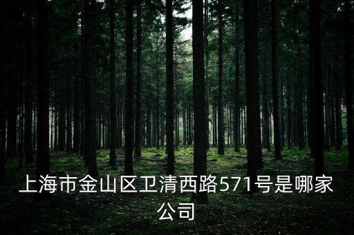上海市金山區衛清西路571號是哪家公司