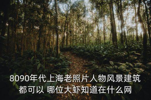 8090年代上海老照片人物風(fēng)景建筑都可以 哪位大蝦知道在什么網(wǎng)