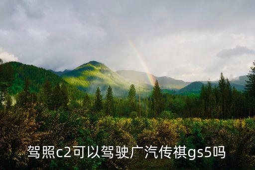 駕照c2可以駕駛廣汽傳祺gs5嗎