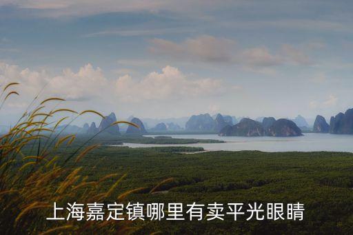 上海嘉定鎮哪里有賣平光眼睛