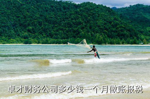 卓才財(cái)務(wù)公司多少錢一個(gè)月做賬報(bào)稅