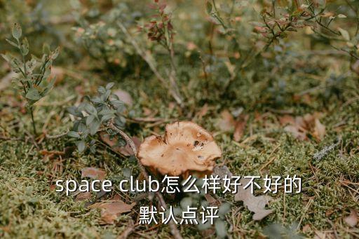 space club怎么樣好不好的默認點評