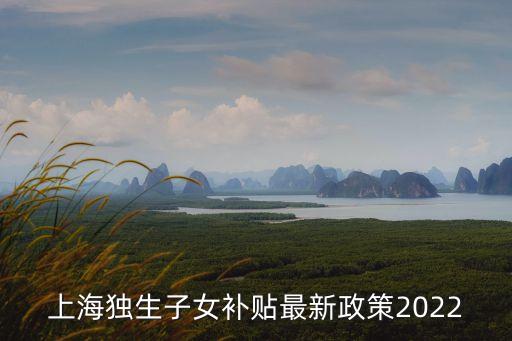 上海獨生子女補(bǔ)貼最新政策2022