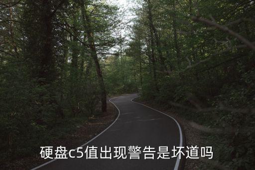 硬盤c5，硬盤 出現C5警告是不是要換硬盤了啊