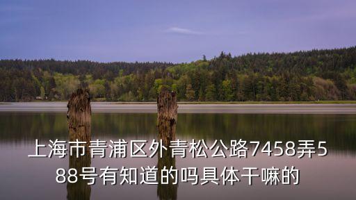上海市上饒商會會員，上海市徐匯區漕溪路258弄27號 是干什么的請熟悉那邊的朋友說一下
