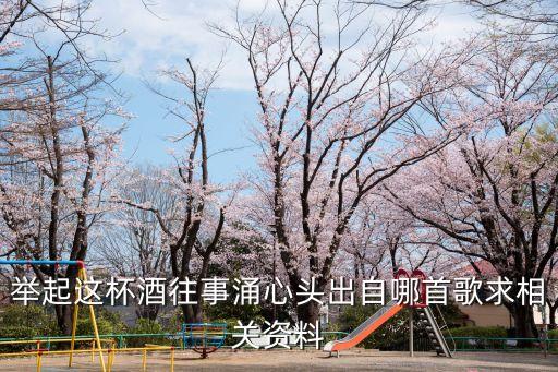 舉起這杯酒往事涌心頭出自哪首歌求相關(guān)資料