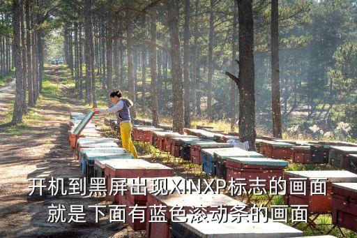 開機到黑屏出現XINXP標志的畫面就是下面有藍色滾動條的畫面