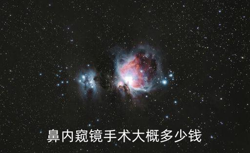 鼻內(nèi)窺鏡手術(shù)大概多少錢