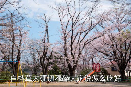 樺樹(shù)茸食用方法，樺樹(shù)茸磨成粉怎樣服用